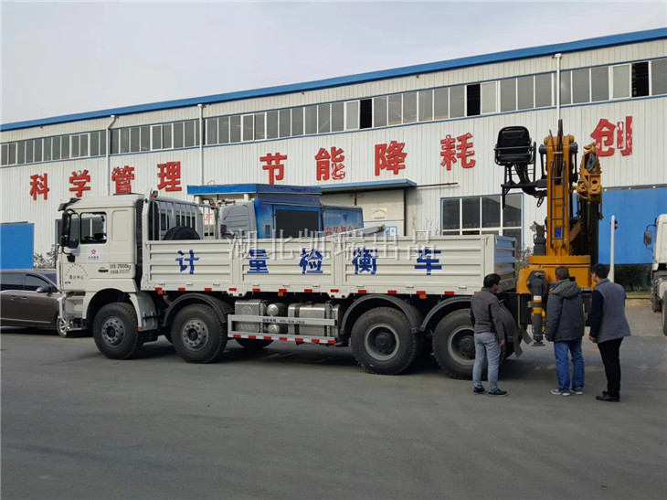 大冶有色金屬領導一行現(xiàn)場驗收 大冶有色金屬領導一行現(xiàn)場驗收