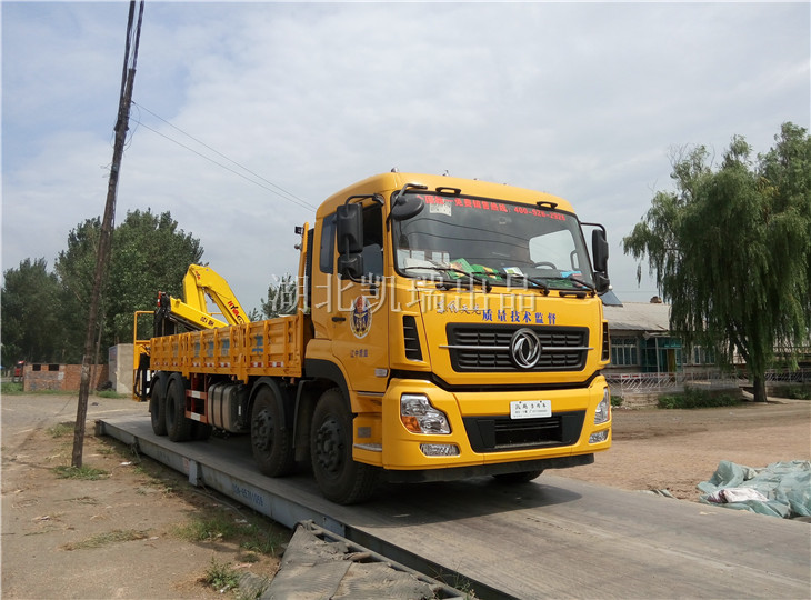 整車檢測(cè)收糧衡器承載準(zhǔn)確度 整車檢測(cè)收糧衡器承載準(zhǔn)確度